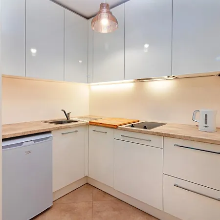 Sveciu Namas 9 Appartamento Palanga