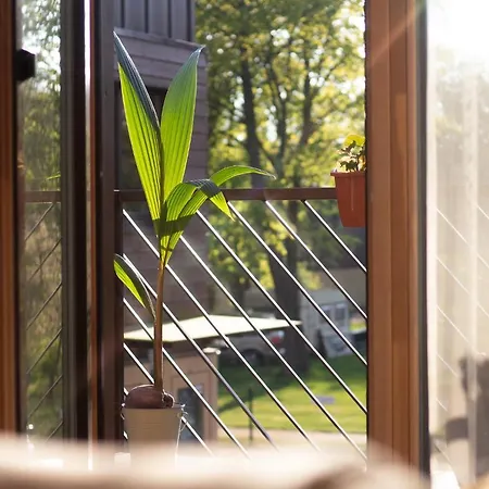 Appartamento Sveciu Namas 9 *