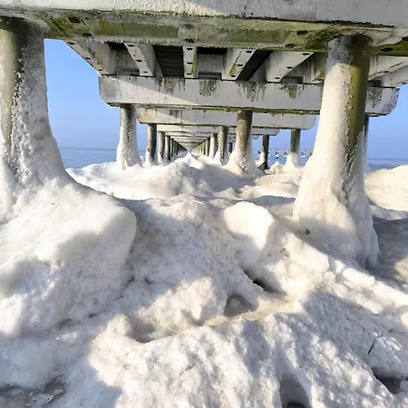 Appartamento Sveciu Namas 9 *