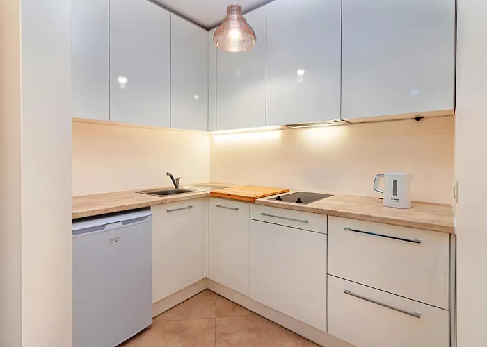 Sveciu Namas 9 Διαμέρισμα Παλάγκα