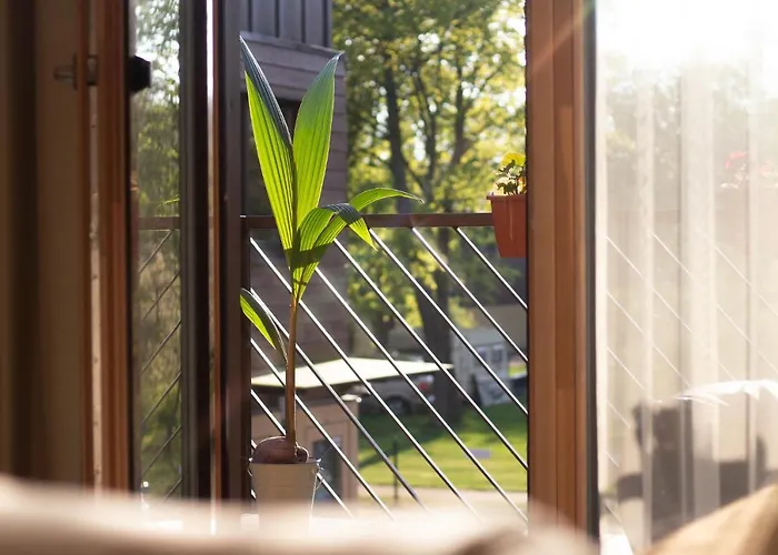 Διαμέρισμα Sveciu Namas 9 *