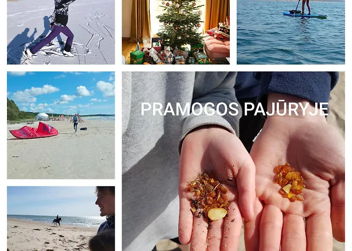 Διαμέρισμα Sveciu Namas 9 *