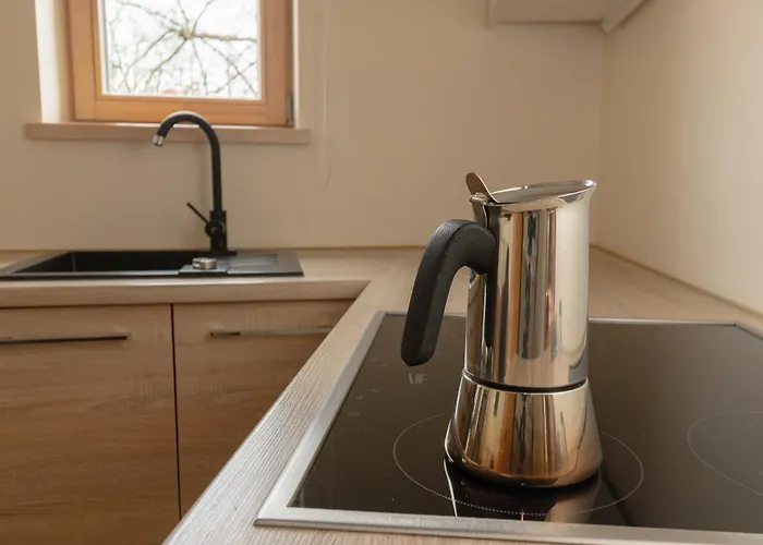 Sveciu Namas 9 Διαμέρισμα *